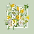 Floral Spring Graphic Design - with Narcissus Flowers