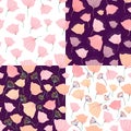 Floral seamless patterns collection with four different backgrounds, spring and summer design Royalty Free Stock Photo