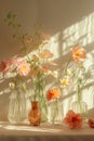 Floral spring still life in vases under sunlight.