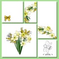 Floral spring templates with hand drawn bunches of yellow narcissus and mimosa.