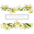 Floral spring templates of hand drawn yellow narcissus. Elements for romantic and easter design, announcements, greeting cards.