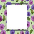 Floral square frame with flowers violet pansies