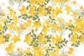 Floral St.John's Wort retro vintage background