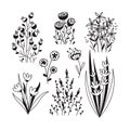 Floral stickers or temporary tattoos