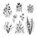 Floral stickers or temporary tattoos
