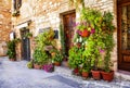 Floral streets of old towns in Italy Royalty Free Stock Photo