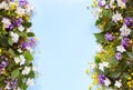 Floral summer background on a blue table with wildflowers and jasmine. View from above. Summer mood.