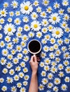 Floral summer background. A mug of coffee in a woman`s hand on a blue background with chamomile or daisies. Hello summer Royalty Free Stock Photo