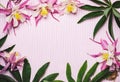 Floral summer pink background. Frame of aquilegia flowers and green leaves