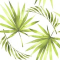 Floral summer tropical green palm leaves, coconut seamless pattern white background. Exotic prints for wallpaper,textile Hawaii al Royalty Free Stock Photo