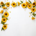 Floral sunflower border