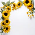 Floral sunflower border