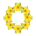 Floral sunflower, narcissus, chrysanthemum background illustration