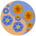 Floral symbol Yin-Yang. Primula, calendula. Geometric pattern of Yin-Yang symbol, from plants on colored background in Oriental st Royalty Free Stock Photo