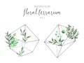 floral terrarium with green leaves vector illustration