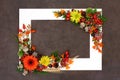 Floral Thanksgiving and Autumn Nature Background Border