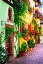 Floral traditional town Colmar with charming old streets in Alsace region. France Royalty Free Stock Photo