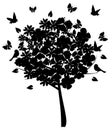 Floral tree silhouette Royalty Free Stock Photo