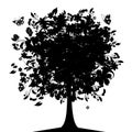 Floral tree silhouette black Royalty Free Stock Photo