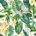 Floral trendy tropical seamless pattern with palm leaves, botanical watercolor style. Vanilla Flower, leaf and butterfly Royalty Free Stock Photo