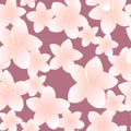 Floral tropic desin seamless pattern. Pink frangipani flowers on purple background.