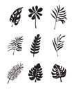 Floral tropical branch of palm in silhouette style. Fern, monstera leaves for invitation, poster, logo.