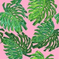 Floral Tropical Seamless Pattern. Palm Leaves