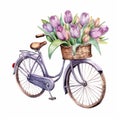 Floral_Tulips_Easter_Spring_Watercolor12 Royalty Free Stock Photo