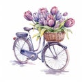 Floral_Tulips_Easter_Spring_Watercolor13 Royalty Free Stock Photo