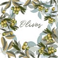 Floral vector clean illustration with olive plant and green leaf