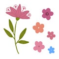 Floral vector pack. Decorative isolated flowers