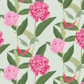 Floral vector pattern, vector Design with flower pink paeonia with rim goldens petal and leaves.