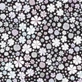 Floral vector seamless pattern of small flowers in white and black. Background for textile or book covers, manufacturing, Royalty Free Stock Photo