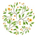 Floral Vector Watercolour