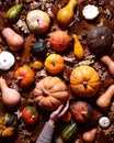 Floral vegetable autumn background. Assorted pumpkin, gourd, squash on the fallen orange leaves of oak. Hello November