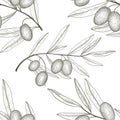 Floral vegetable pattern Olive tree branch with olives over white backgro Royalty Free Stock Photo