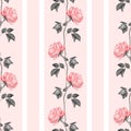 Floral vertical seamless pattern with roses Royalty Free Stock Photo