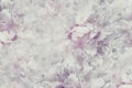 Floral vintage beautiful background. Wallpapers of flowers light pink-white peony. Flower composition. Close-up. Royalty Free Stock Photo