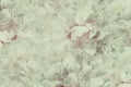 Floral vintage beautiful background. Wallpapers of flowers light pink-white peony. Flower composition. Close-up.