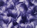 Floral vintage purple  background. A bouquet of  turquoise  flowers.  Close-up.   floral collage.  Flower composition. Royalty Free Stock Photo