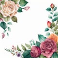 Floral watercolor border background with Roses on pure background. Illustration AI Generative