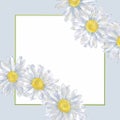 Daisy Wreaths and Square Frame Template.