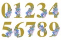 Floral watercolor numbers art on white background