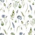 Floral watercolor seamless pattern. Background wildflowers on a white background. Royalty Free Stock Photo