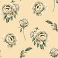 Floral watercolor seamless pattern with beige peony flowers, buds and green leaves on light pink background. Royalty Free Stock Photo