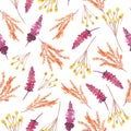 Floral watercolor seamless pattern with flowers and twigs on white background Royalty Free Stock Photo