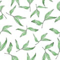 Floral watercolor seamless pattern, hand drawn greenery repeat pattern for textile. Tea leaves retro background. Elegant