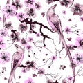 Floral watercolor texture pattern with sakura flowers and birds Royalty Free Stock Photo