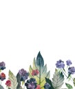 Floral web banner with blackberries and raspberries. Summer greenery border. Hand Drawn watercolor forest berries.