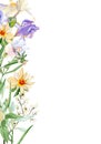 Floral wedding banner watercolor with hand drawn boho flower, rose, wildflowers. Spring elegant garden botanical frame